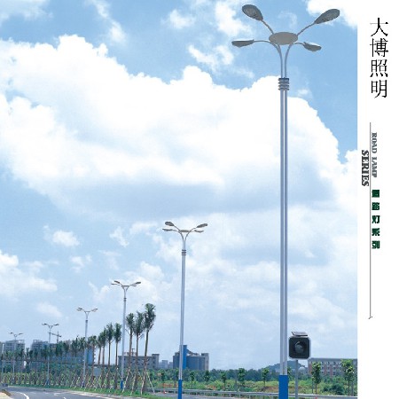 LED路燈高光效異形道路亮化照明工程市電交叉口四火廠家批發