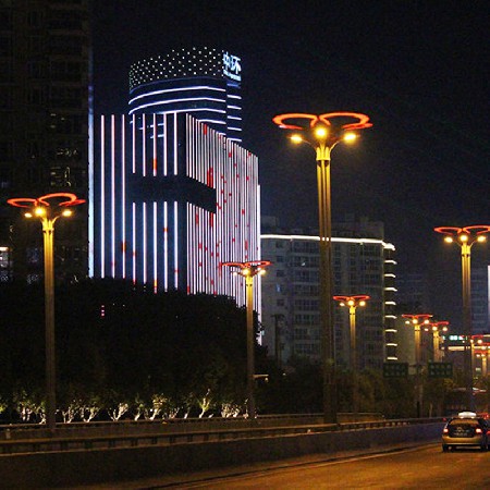 LED玉蘭燈特色戶外道路照明亮化工程照明景觀玉蘭燈廠家批發